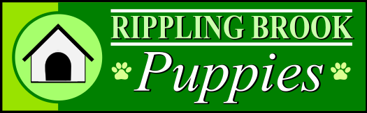 Rippling Brook Puppies Logo